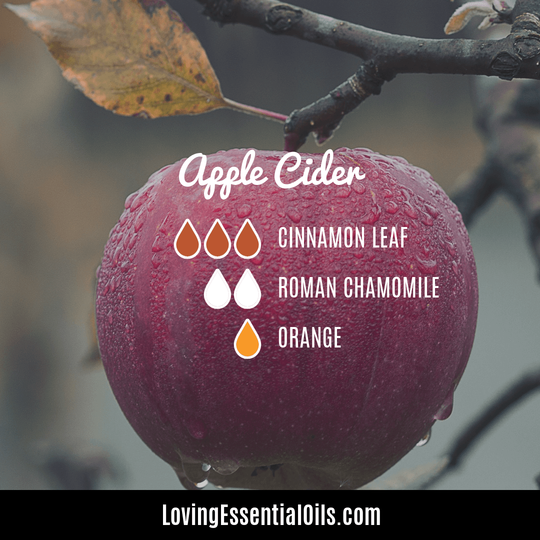 Apple Cider Diffuser Blend with Cinnamon Leaf, Roman Chamomile and Orange by Lovign Essential Oils