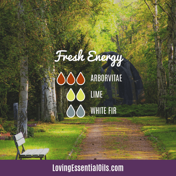 Arborvitae Diffuser Blend Recipes by Loving Essential Oils | Fresh Energy Diffuser Blend with Arborvitae, lime, cypress and white fir essential oil