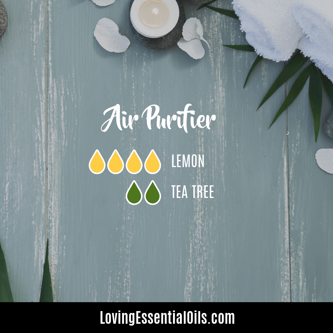 Aromatherapy diffuser recipe for air purifying by Loving Essential Oils