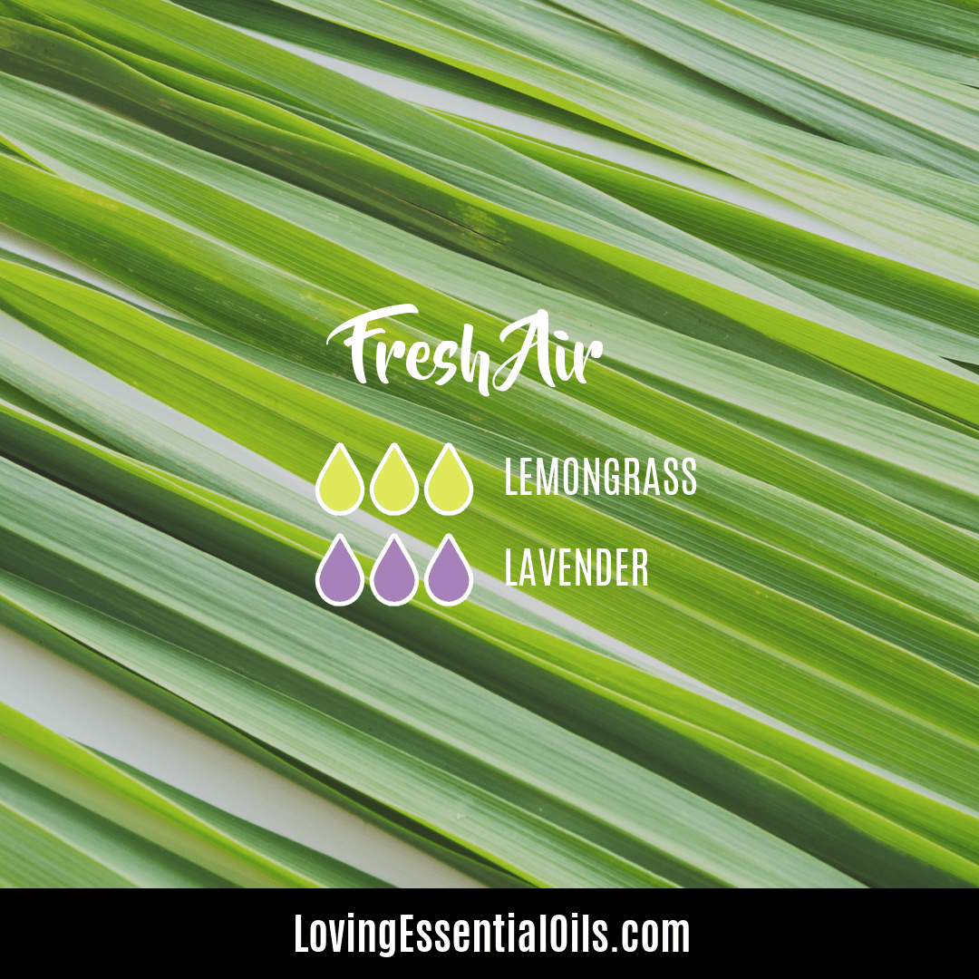 Essential Oil Diffuser blend Air Freshener with lemongrass and lavender aromatherapy by Loving Essential Oils