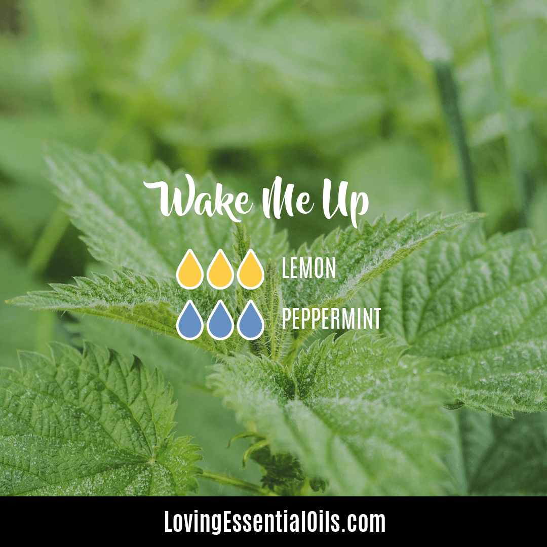 Aromatherapy diffuser recipe for waking up by Loving Essential Oils