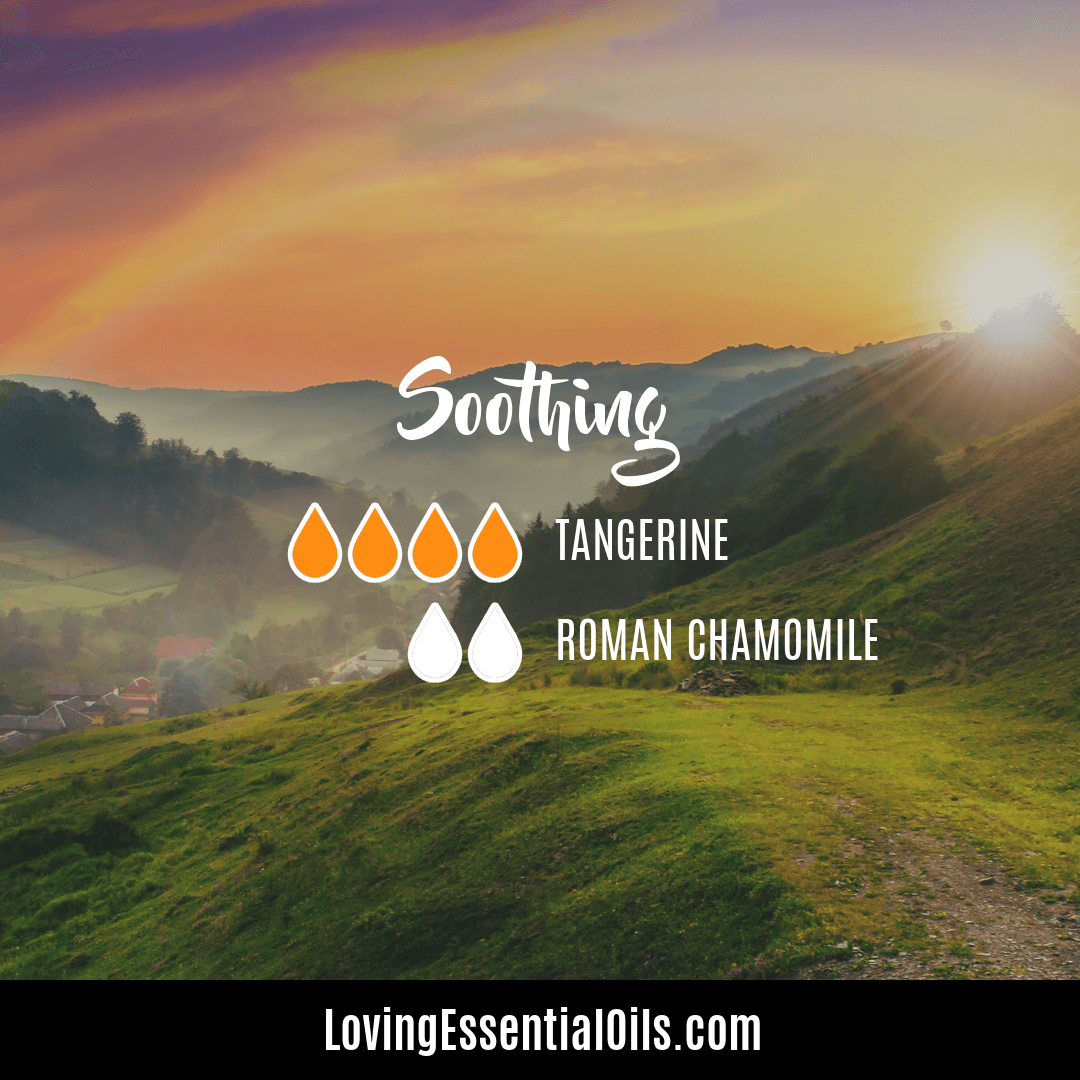 Aromatherapy diffuser recipe for air purifying with tangerine and roman chamomile