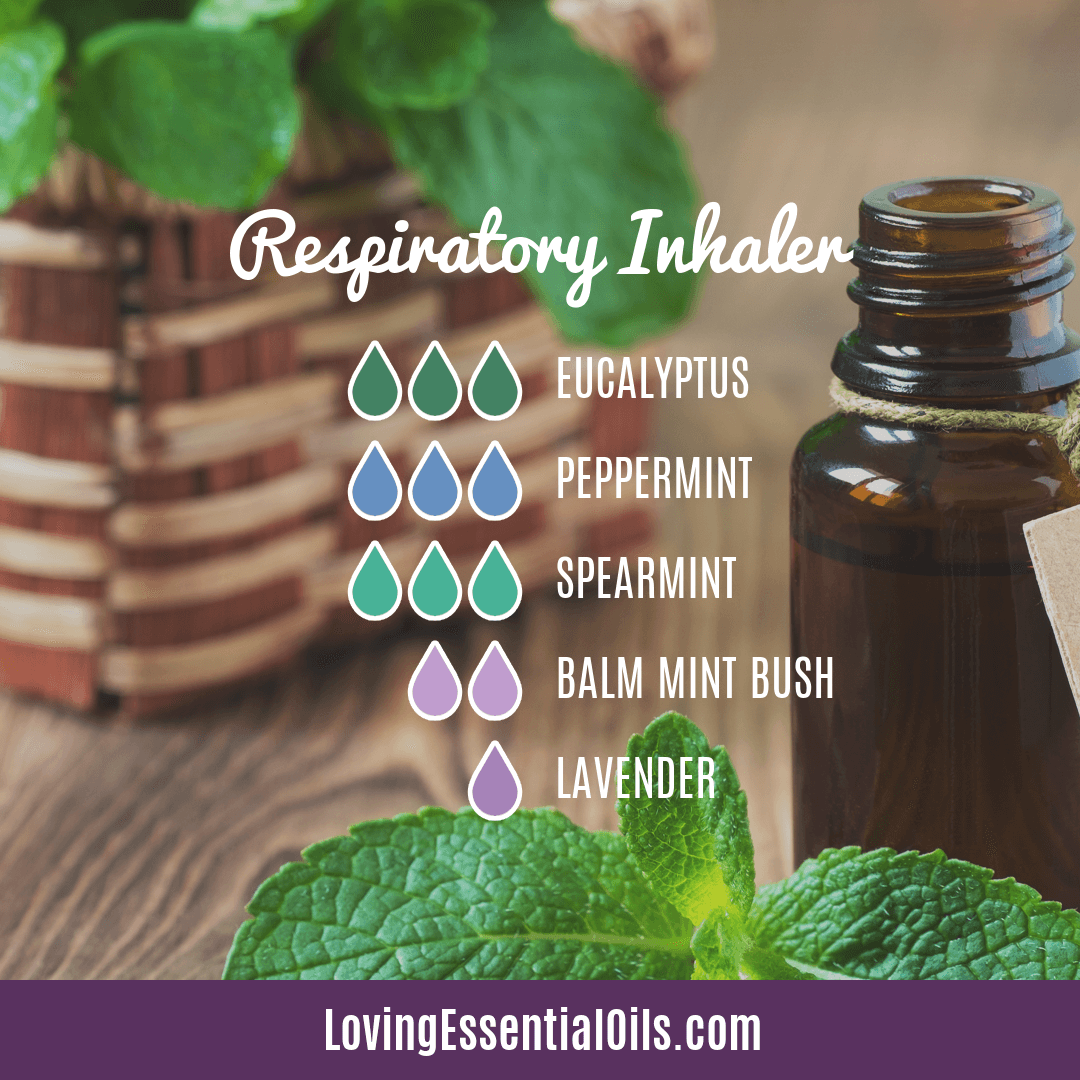 Balm mint bush inhaler recipe by Loving Essential Oils