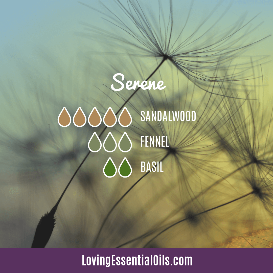 Basil Diffuser Blend - Serene by Loving Essential Oils with sandalwood, basil, and fennel