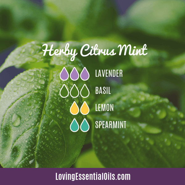Basil Essential Oil Uses and Benefits with Diffuser Blends DIY Recipes ...
