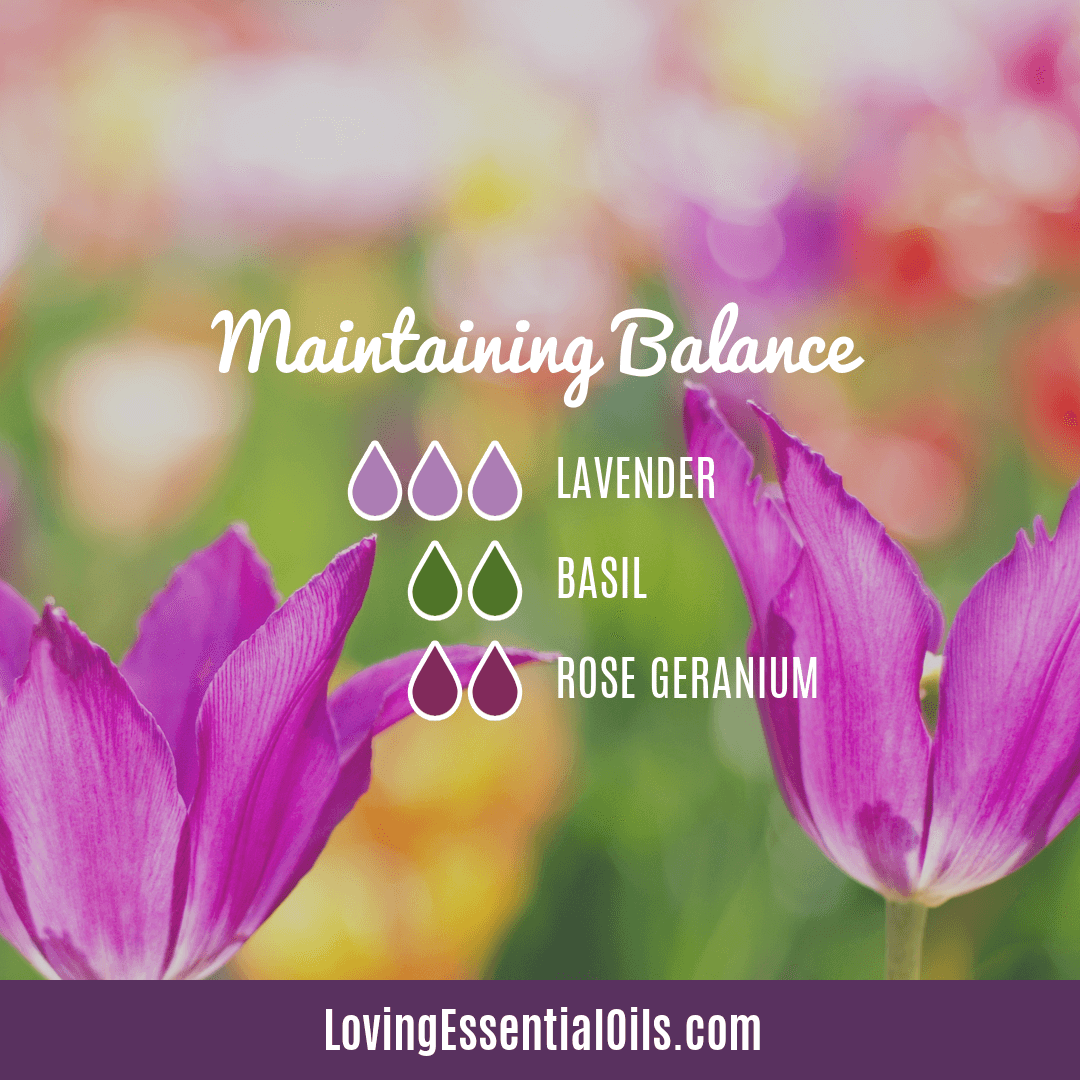 Basil Diffuser Blends - Herby Citrus Mint by Loving Essential Oils with lavender, basil, lemon and spearmint