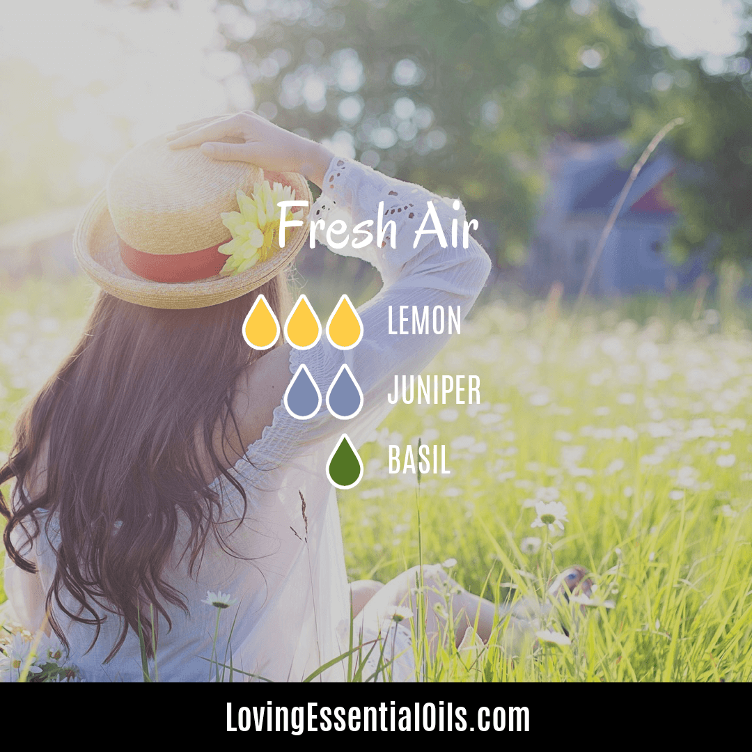 Basil essential oil recipes - Fresh Air with Lemon and Juniper Berry