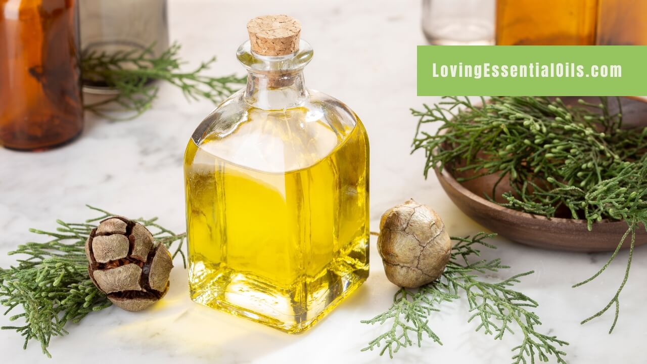Benefits of cypress essential oil by Loving Essential Oils