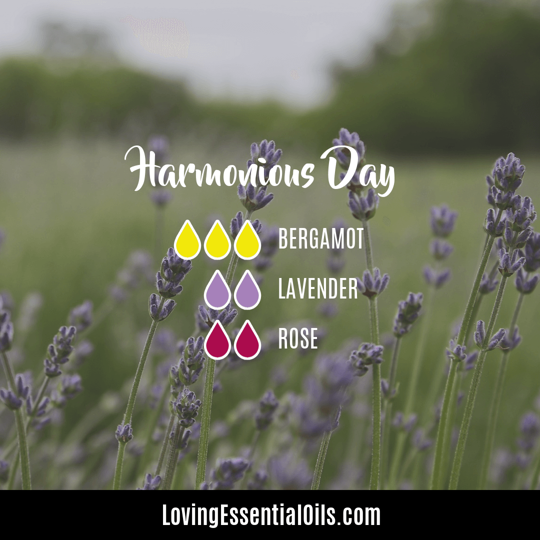 Bergamot lavender and rose essential oil blend by Loving Essential Oils