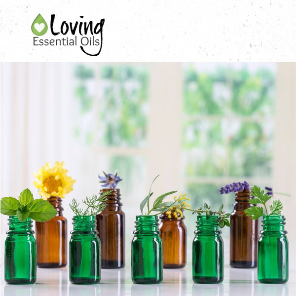 Best Priced Essential Oils to Invest In by Loving Essential Oils | Find out the top 30 essential oils that won't break your budget!
