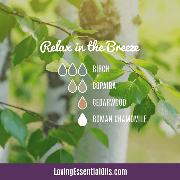 Birch diffuser blend - Relax in the Breeze by Loving Essential Oils