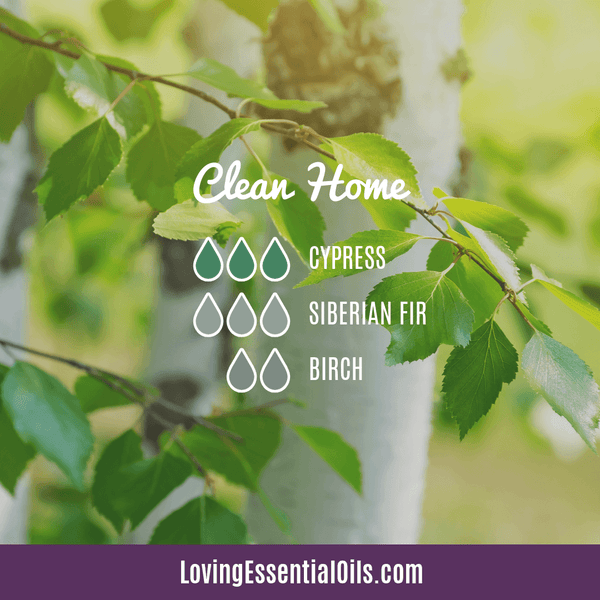 Birch diffuser recipe - Clean home by Loving Essential Oils