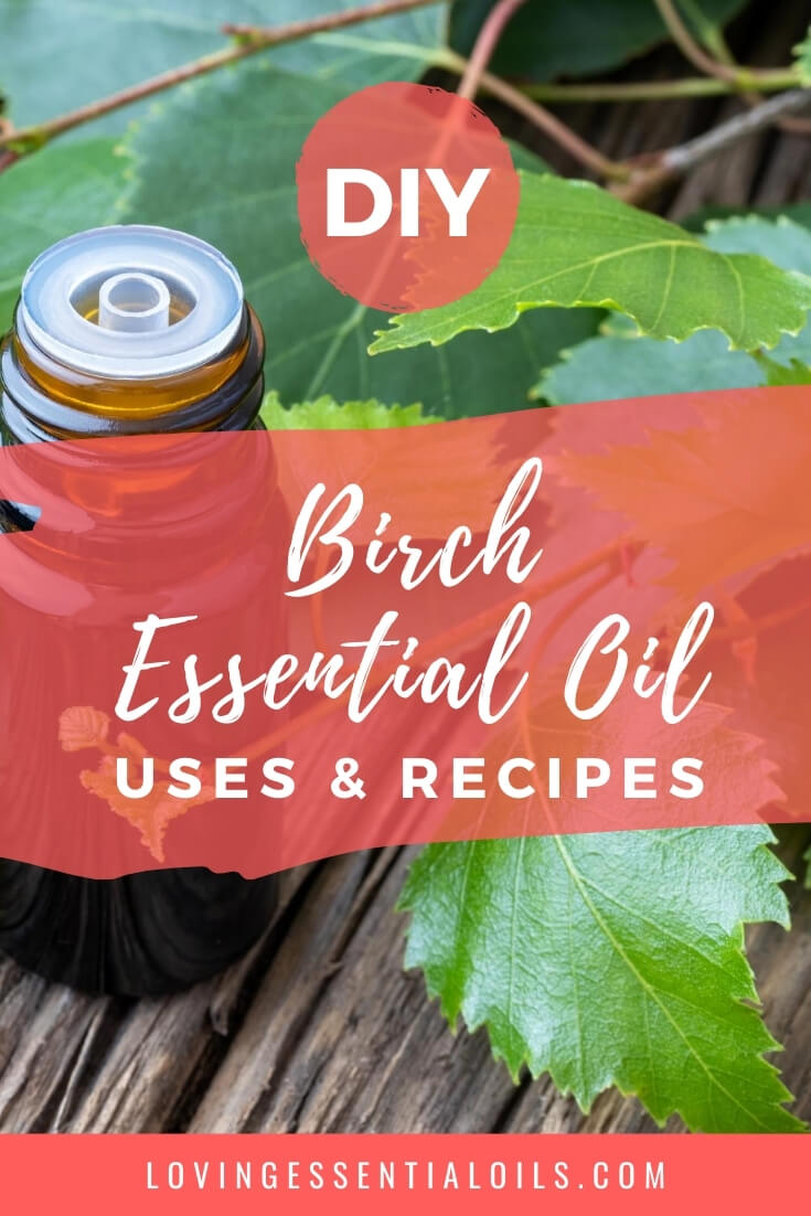 Birch Essential Oil Recipe Blends by Loving Essential Oils