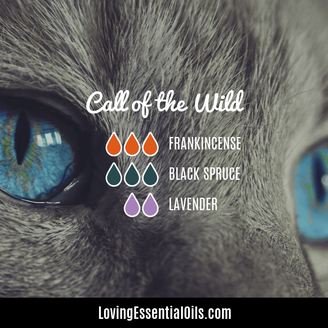 Call of the Wild Diffuser Blend with Frankincense, Spruce and Lavender