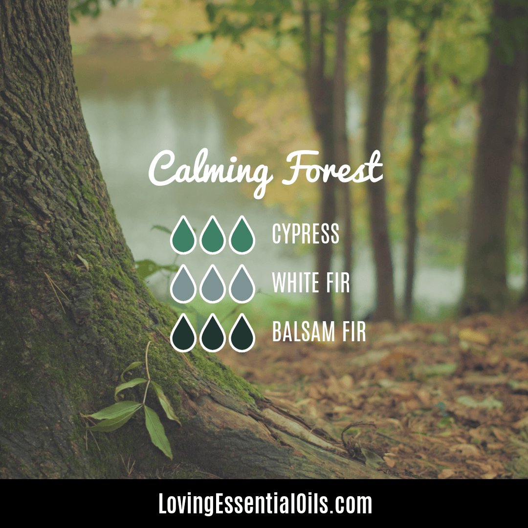 Calming forest diffuser blend by Loving Essential Oils