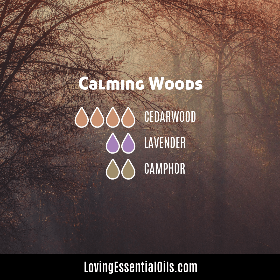 Camphor essential oil diffuser blends by Loving Essential Oils