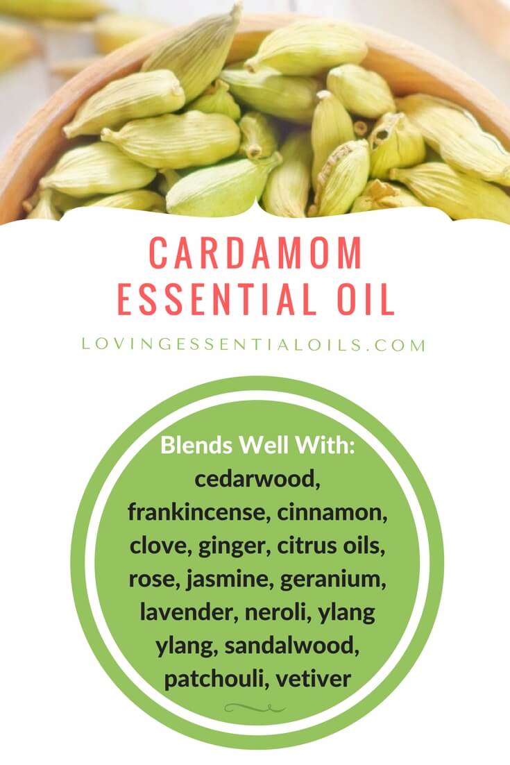  L'Huile essentielle de Cardamome se marie bien avec / Utilisations de l'Huile Essentielle de Cardamome, Recettes Bénéfiques en aimant les huiles essentielles 