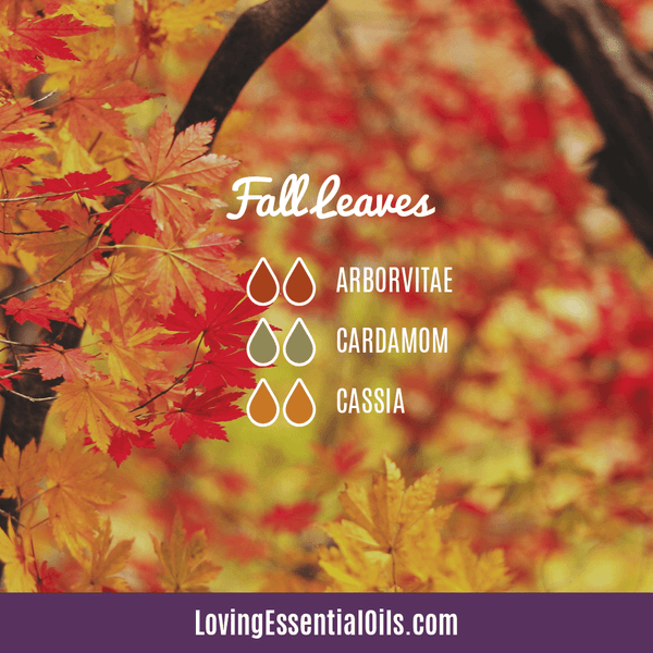 Cassia Diffuser Recipes for Fall by Loving Essential Oils | Cassia Diffuser Blends Fall Leaves with arborvitae, cardamom, and cassia