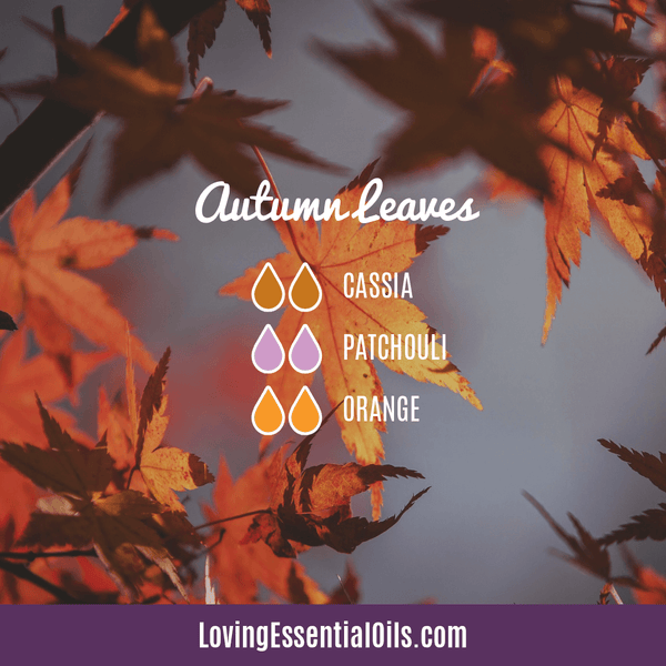 What Blends Well with Cassia Essential Oil? by Loving Essential Oils | Cassia Diffuser Blends Autumn Leaves with cassia, patchouli, and orange