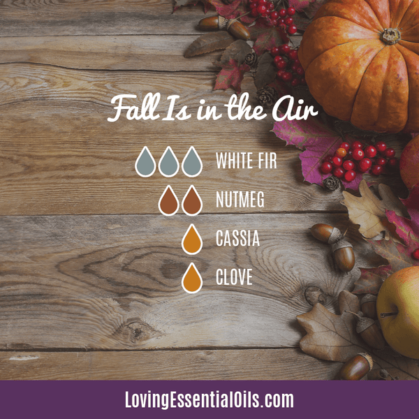 Cassia Essential Oil Benefits and Blends by Loving Essential Oils | Cassia Diffuser Blends Fall is in the Air with white fir, nutmeg, cassia, and clove
