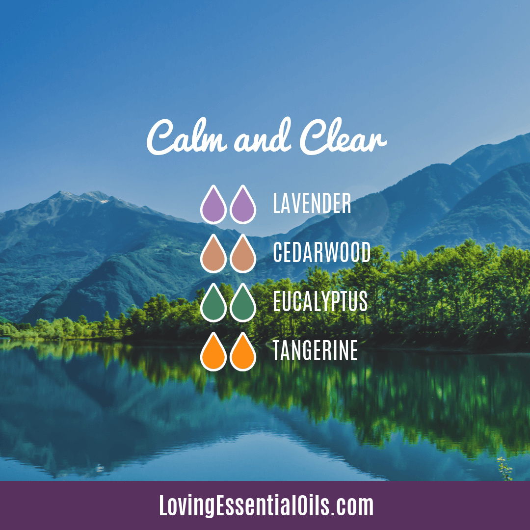 Cedarwood Diffuser Blend - Clear and Calm by Loving Essential Oils