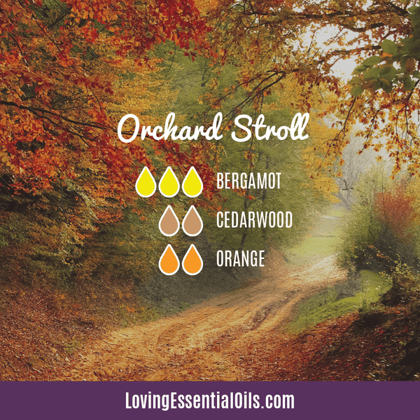 Best Cedarwood Essential Oil Diffuser Recipes by Loving Essential Oils | Orchard Stroll with bergamot, cedarwood, and orange