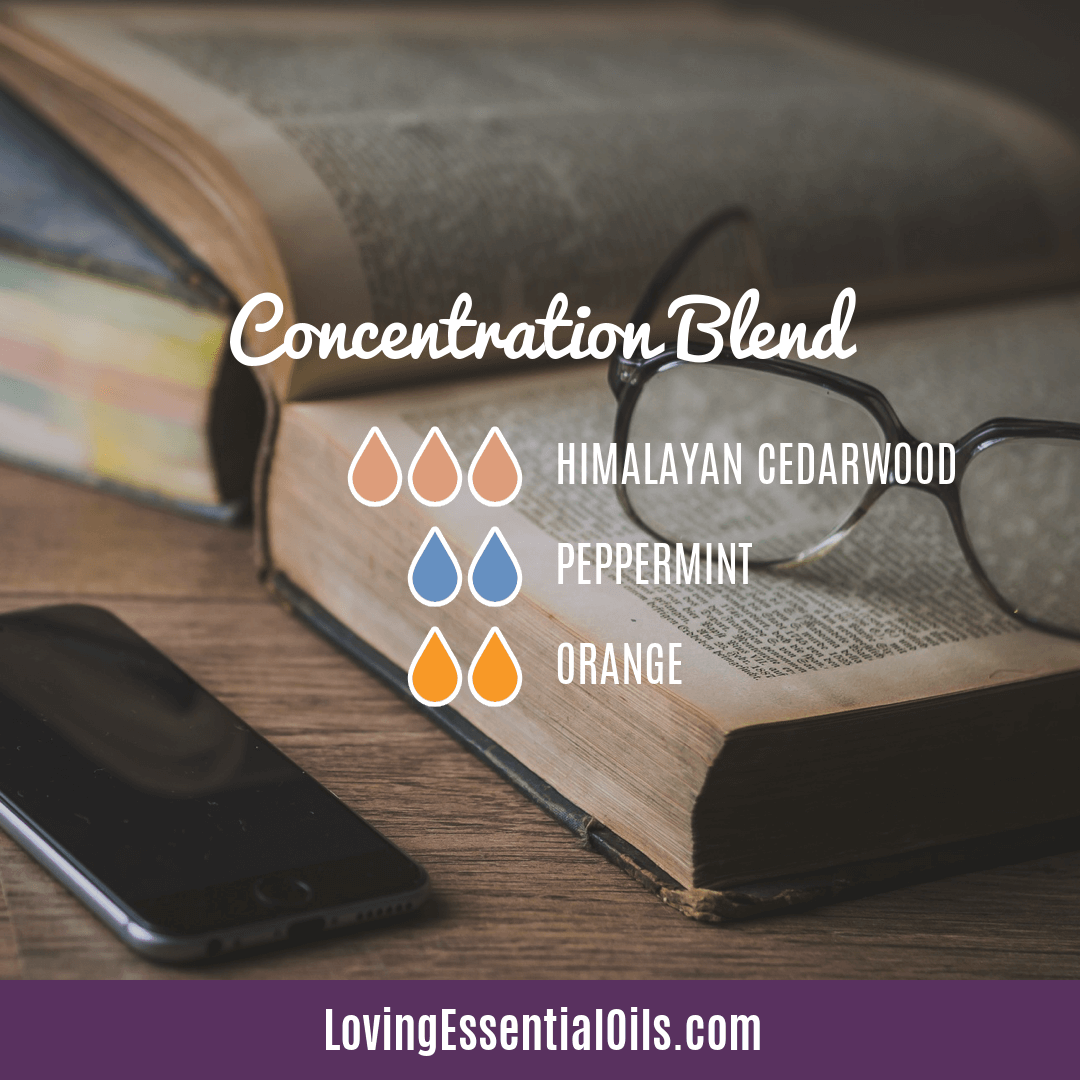 Cedarwood Essential Oil Concentration Blend by Loving Essential Oils