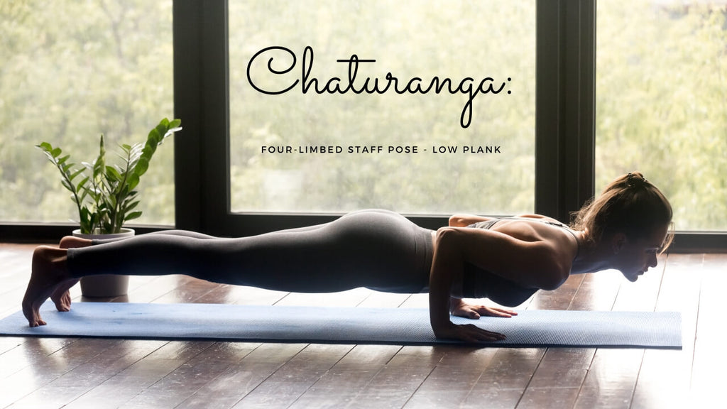 Four-limbed staff pose; Low Plank. chaturanga yoga term