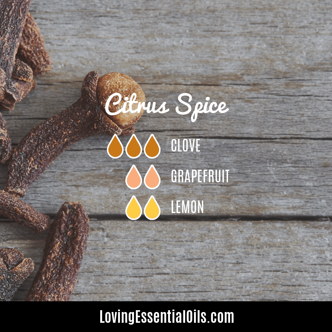 Citrus diffuser blends - Citrus Spice with Clove by Loving Essential Oils