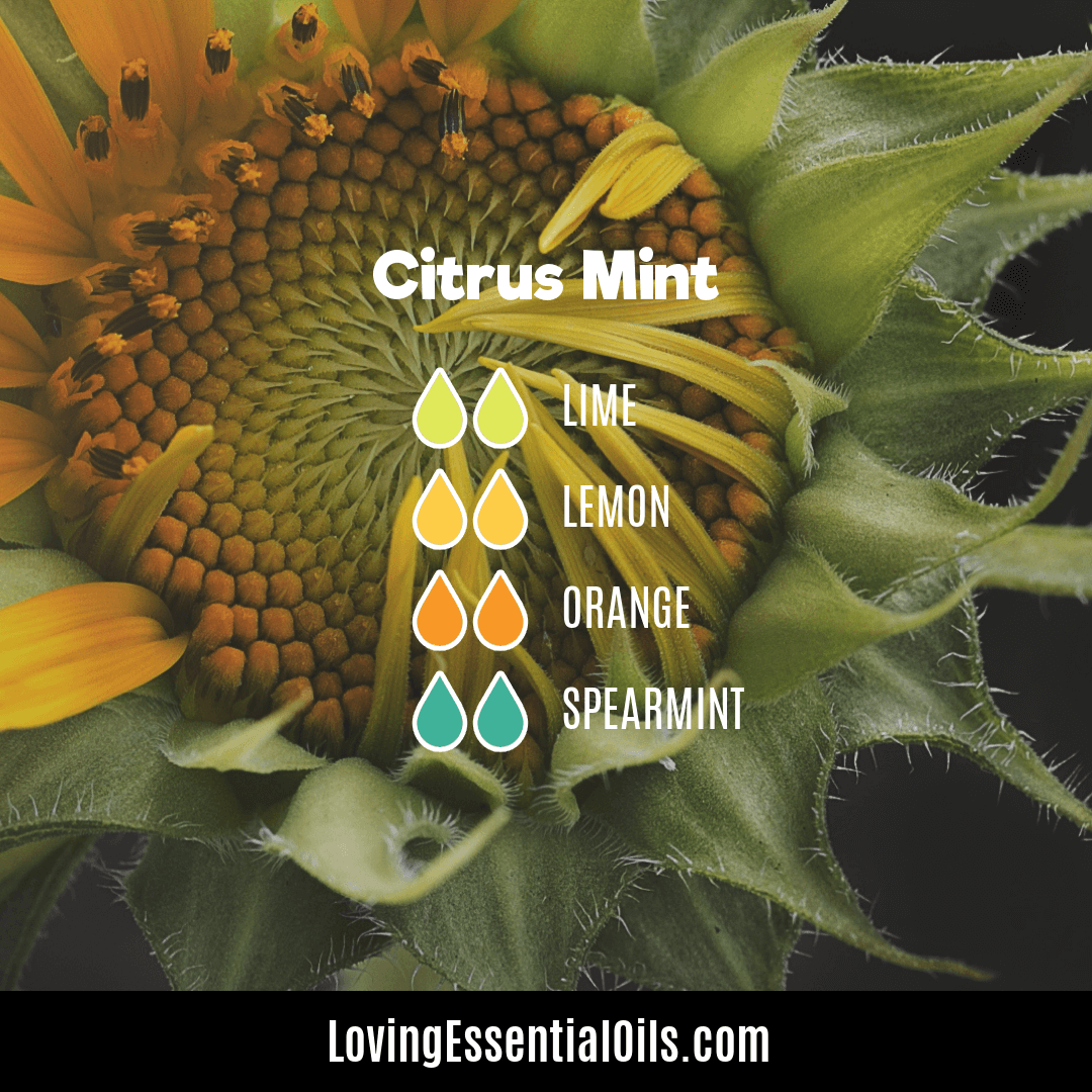 Citrus essential oil blend - Citrus Mint by Loving Essential Oils