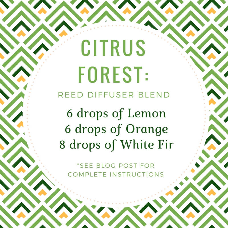 How To Make A Reed Diffuser With 10 Essential Oil Recipe Blends