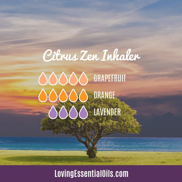 Citrus Zen Inhaler for Burnout by Loving Essential Oils