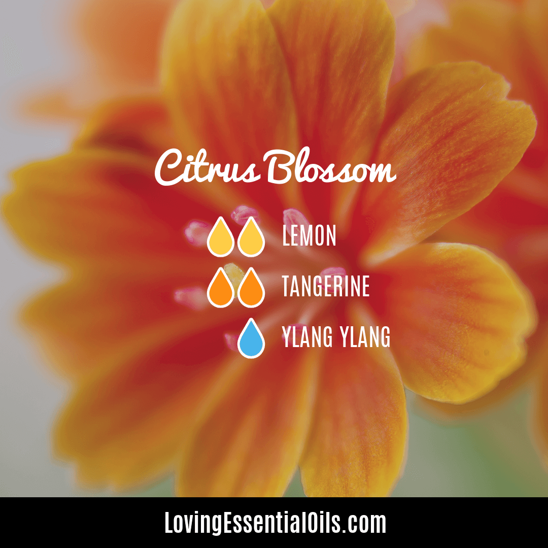 Citruss scented oil blends - Citrus Blossom by Loving Essential Oils