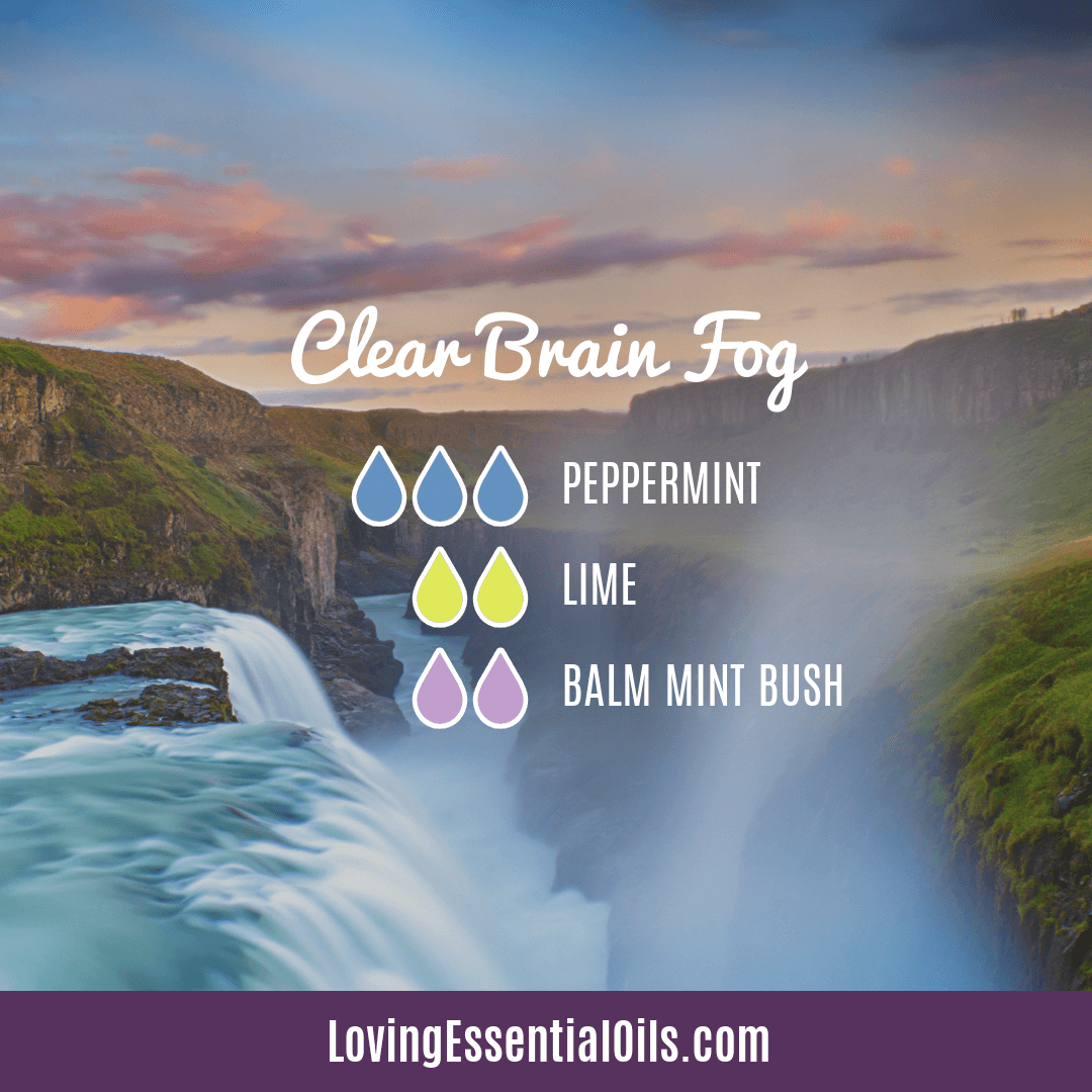 Balm Mint Bush Diffuser Blend - Clear brain fog blend by Loving Essential Oils with peppermint and lime oil