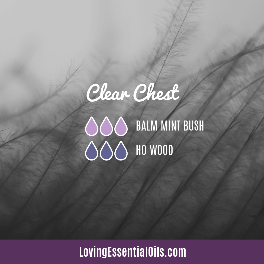 Diffuser Blend with Balm Mint Bush Essential Oil by Loving Essential Oils | Clear Chest Blend with Ho Wood