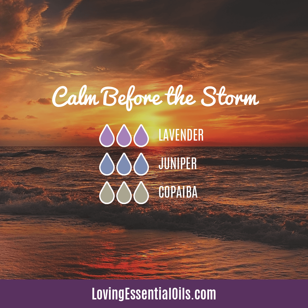 How to Diffuse Copaiba Essential Oil by Loving Essential Oils | Calm Before the Storm with lavender, juniper berry and copaiba