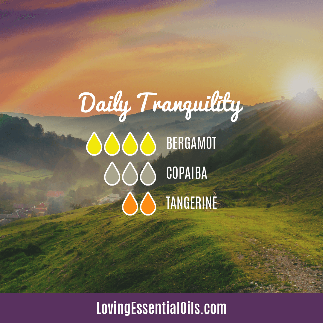 Diffusing Copaiba Essential Oil by Loving Essential Oils | Daily Tranquility with bergamot, copaiba, and tangerine