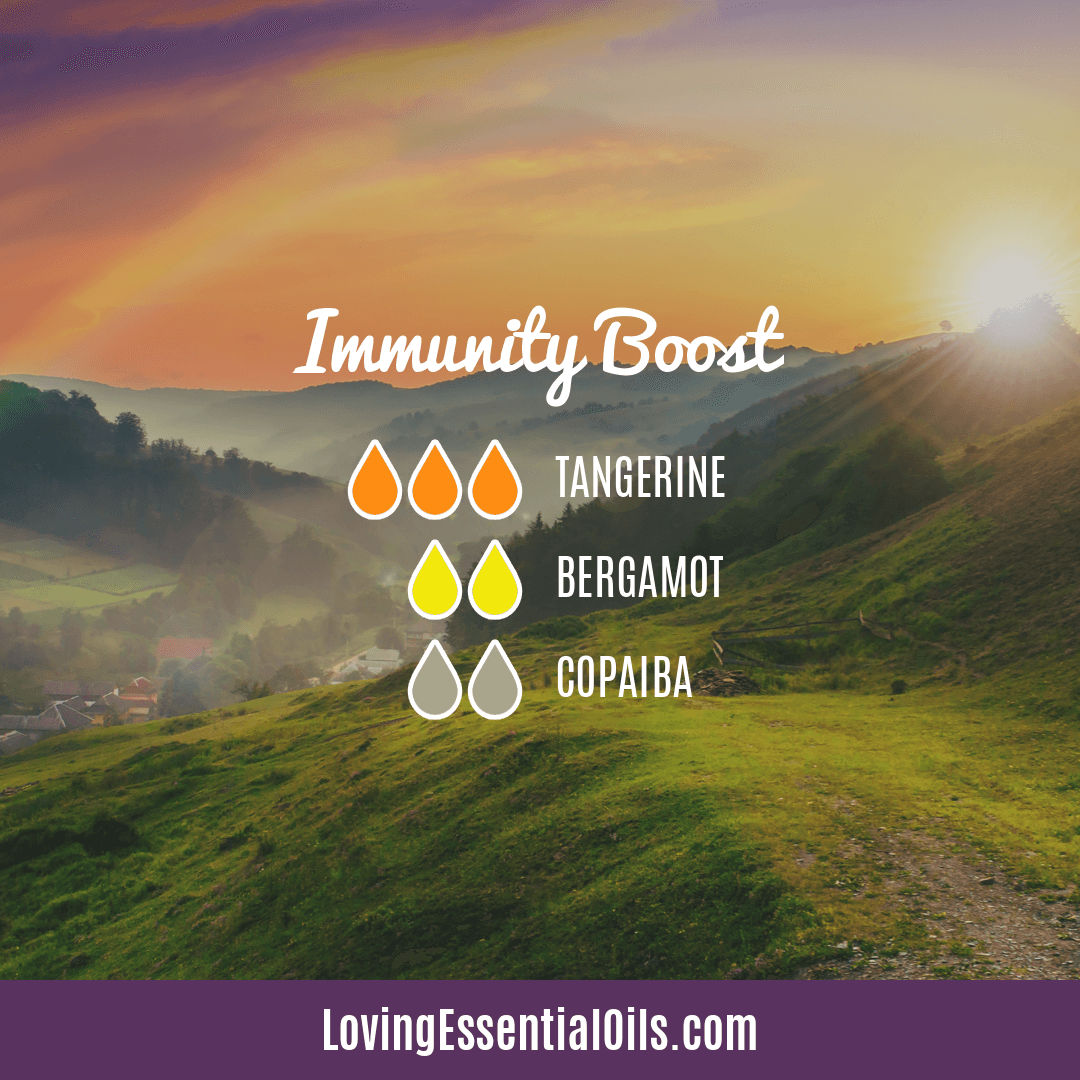 10 Copaiba Diffuser Blend Recipes by Loving Essential Oils | Immunity Boost with tangerine, bergamot, and copaiba