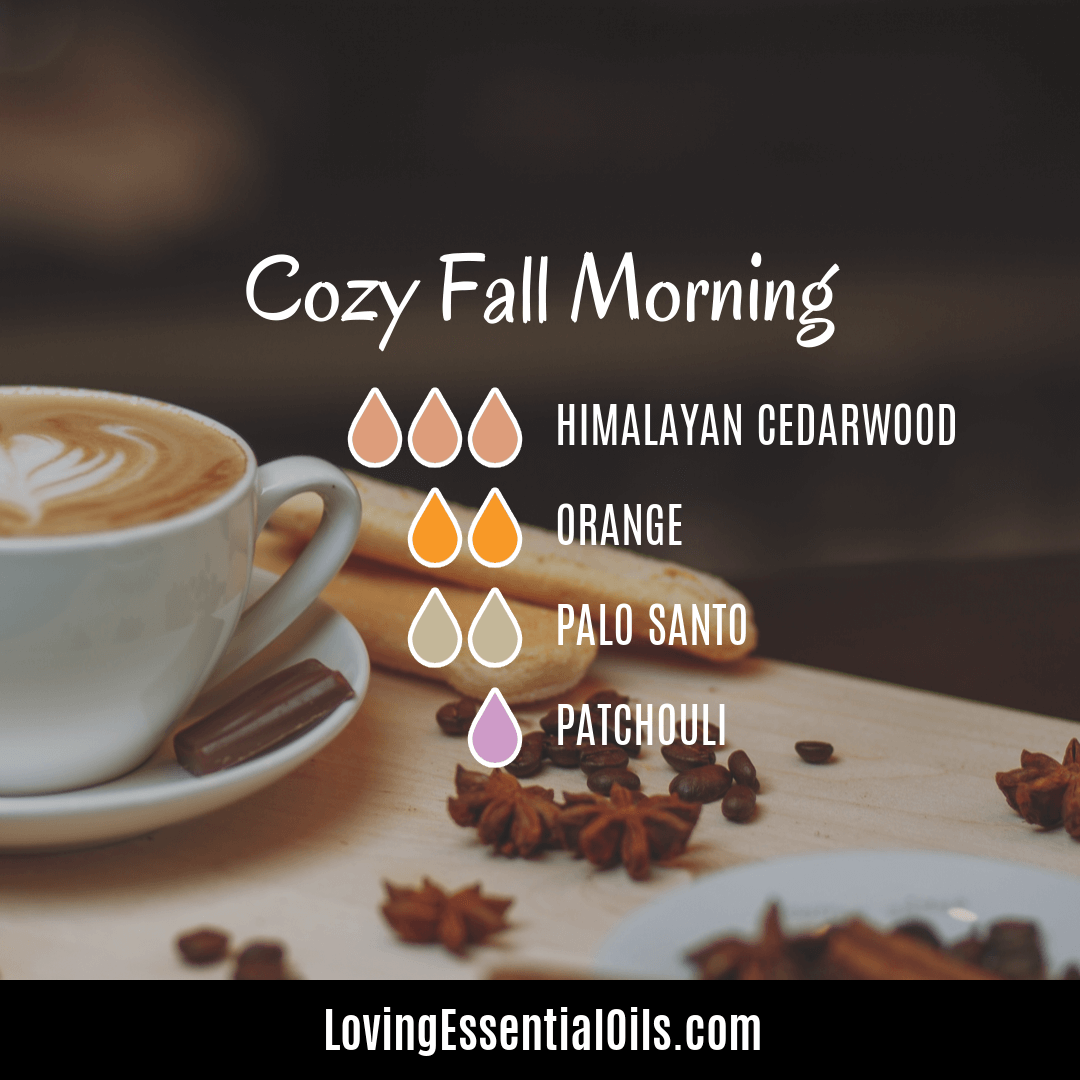 Cozy fall blend - Cozy Fall Morning by Loving Essential Oils