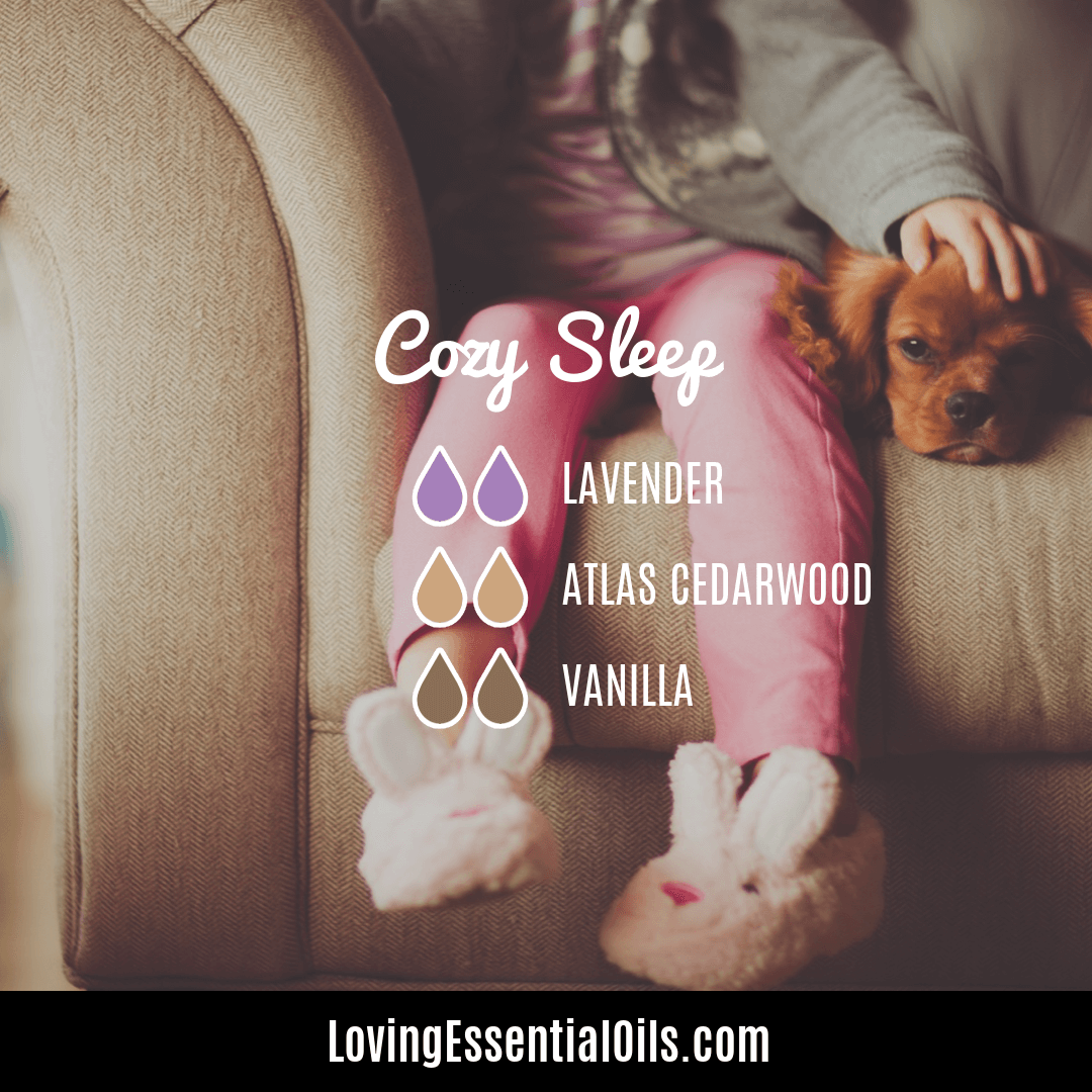 Cozy Sleep Blend with Lavender, Cedarwood and Vanilla