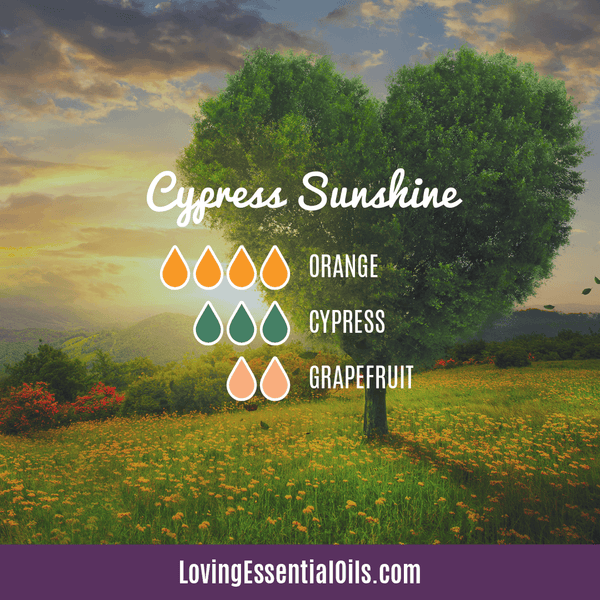 Cypress Essential Oil Diffuser Blends - Boost Mood & Breathe Easy! by Loving Essential Oils | Cypress Sunshine with orange, cypress and grapefruit essential oil