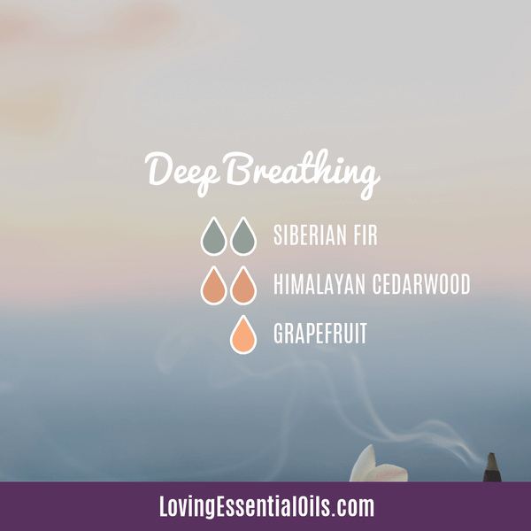 Deep breathing diffuser blend with fir siberian by Loving Essential Oils