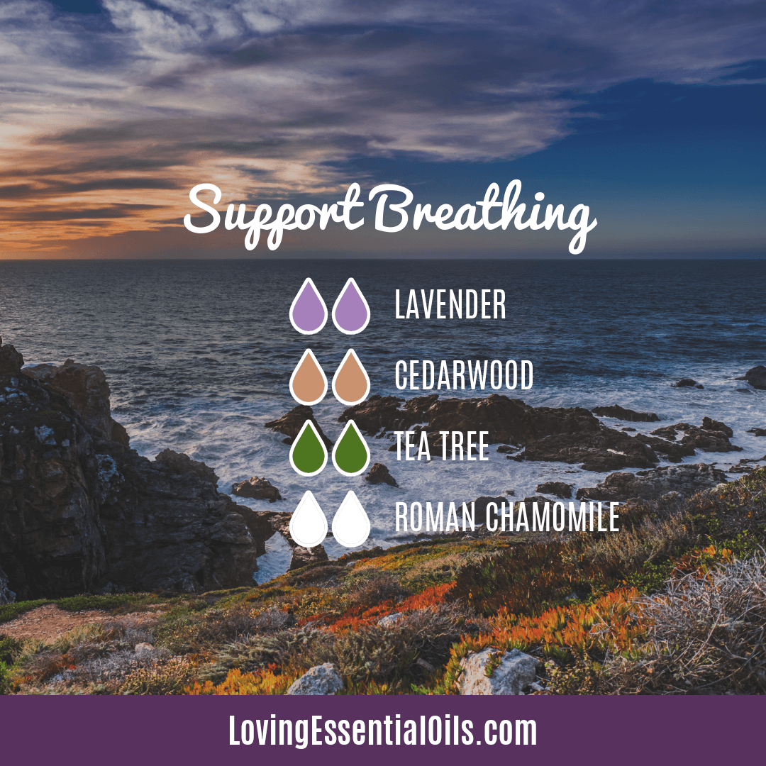 Diffuser Blends for Allergy Relief - Support Breathing by Loving Essential Oils with lavender, cedarwood, tea tree, and roman chamomile