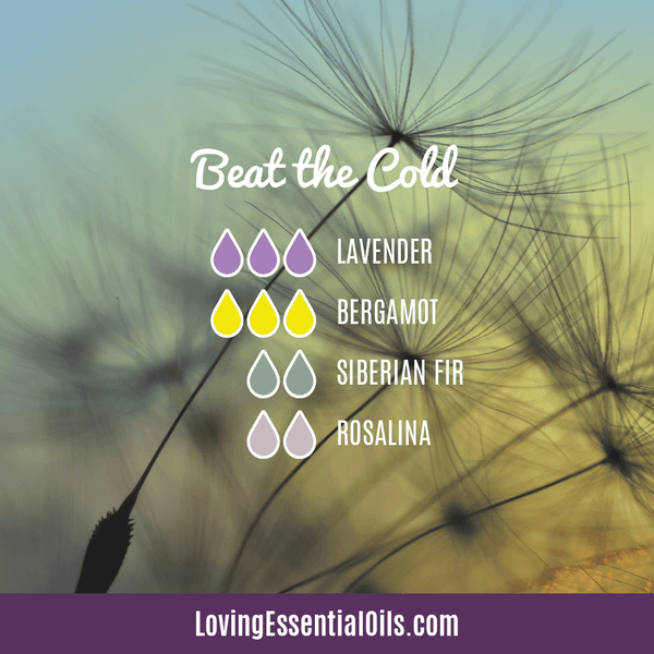 Essential oils for colds diffuser blend recipes by Loving Essential Oils | Beat the Cold with lavender, bergamot, siberian fir, rosalina essential oil