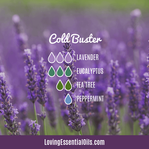 6 Diffuser Recipes for Colds by Loving Essential Oils | Cold Buster with lavender, eucalyptus, tea tree, peppermint essential oil