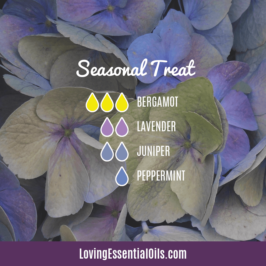Diffuser Recipes for Allergies - Seasonal Treat by Loving Essential Oils with bergamot, lavender, juniper berry, and peppermint