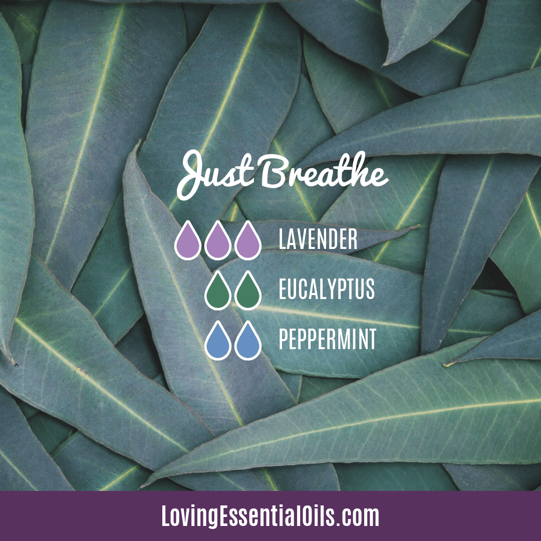 Diffuser Recipes for Allergy Relief - Just Breathe by Loving Essential Oils with lavender, eucalyptus and peppermint