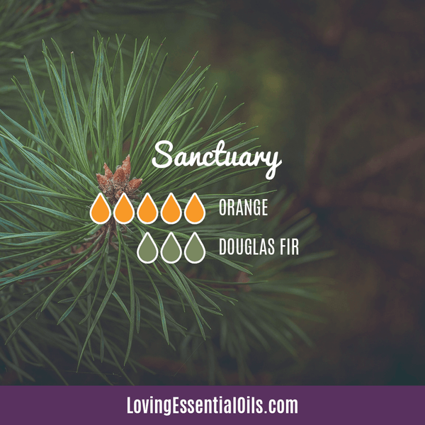 Diffuser Recipes with Orange Essential Oil - Sanctuary by Loving Essential Oils