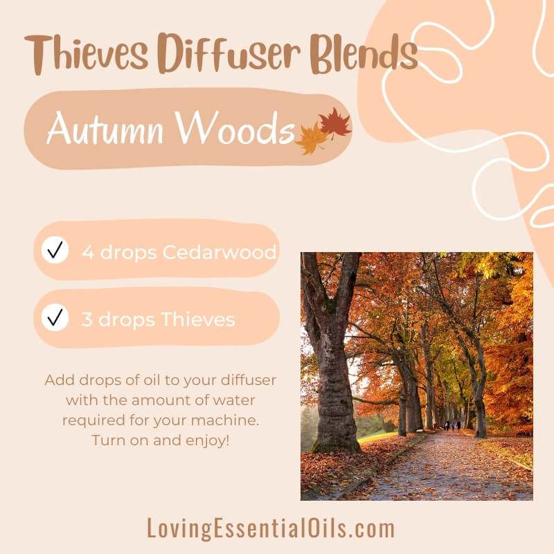 Diffuser Recipes with Thieves - Autumn Woods Blend by Loving Essential Oils