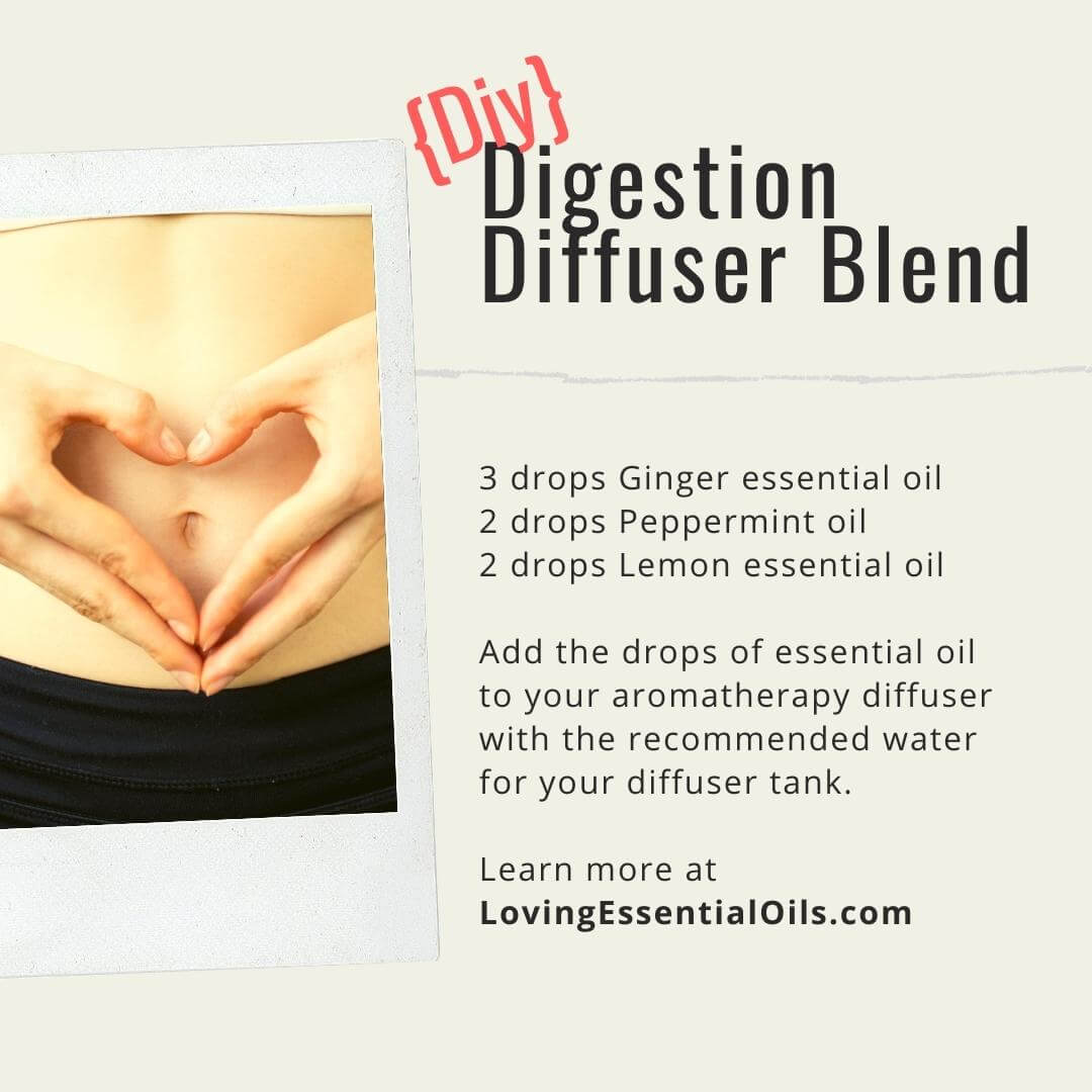 Digestion Diffuser Blend by Loving Essential Oils with ginger, peppermint and lemon oil